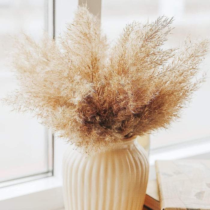 Pampas Grass Decor, Natural Dry Pampas Grass Small, Short Pampass Bulk for Farmhouse, Wall, Kitchen, Bedroom Decor, Office Decor (17 Inch )