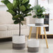 6Inch Modern Cylinder Matte Ceramic Planter Pot with Drainage Hole and Saucer , Planter Pot for Indoor Outdoor Plants Flowers , White/Gray