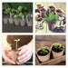 60 Packs 2.4 Inch Peat Pots Plant Starters for Seedling with 25 Pcs Plant Labels, Biodegradable Herb Seed Starter Pots Kits, Garden Germination Nursery Pot
