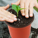 150 Pcs 4" Plastic Plants Nursery Pot,Seed Starting Pots