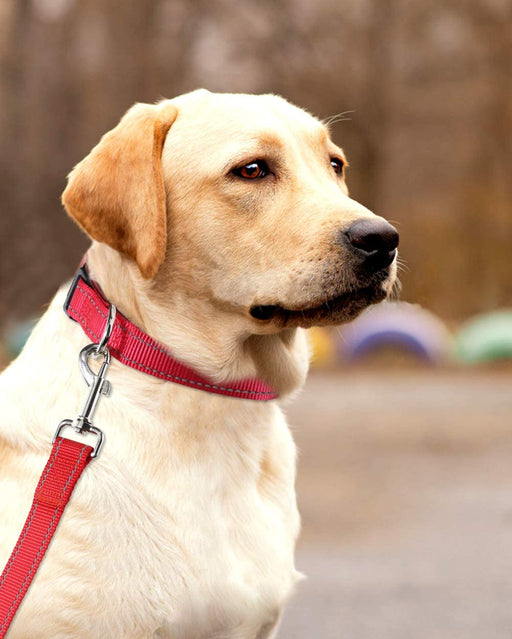 Reflective Dog Collar, Sturdy Nylon Collars for Large Girl and Boy Dogs, Adjustable Dog Collar with Quick Release Buckle, Red