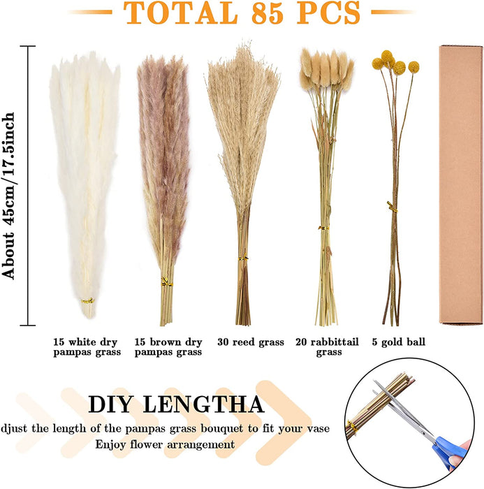 Dried Pampas Grass Boho Decor - 85 Pieces 17.5" Natural Fluffy Dried Flowers for DIY Decor Birthday Contains Pampas Grass & Pampas Flower & Reed Grass & Bunny Tail Grass & Craspedia
