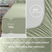 Queen Comforter Set with Sheets 7 Pieces Bed in a Bag Sage Green All Season Bedding Sets with Comforter, Pillow Shams, Flat Sheet, Fitted Sheet and Pillowcases