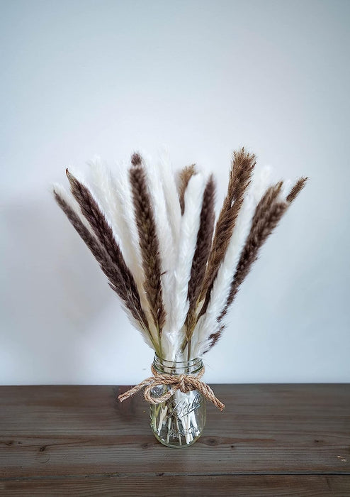 Fluffy Small Bundle of Real Natural Dried Pampas Grass Plant, Feather Length Is 25-35Cm with a Total Length of 45Cm-30 Stem Flower Arrangement for Wedding, Home Décor, Gifts