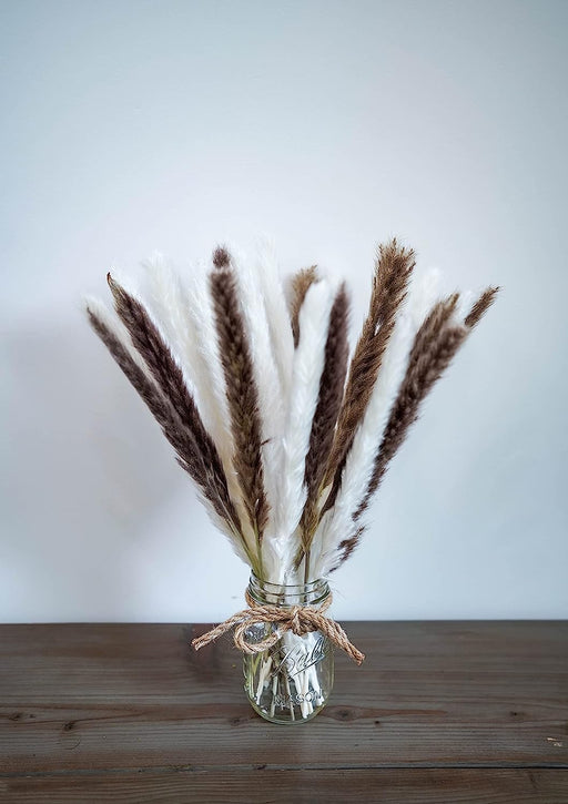 Fluffy Small Bundle of Real Natural Dried Pampas Grass Plant, Feather Length Is 25-35Cm with a Total Length of 45Cm-30 Stem Flower Arrangement for Wedding, Home Décor, Gifts