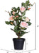 Everyday 21" Indoor Artificial Pink Rose Plant - Lifelife Home or Office Decor - Faux Potted Bush - Maintenance Free