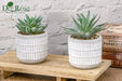 Set of 2 Succulents Plants Artificial Fake Plants for Living Room Bathroom Bedroom Aesthetic Home Kitchen Decor