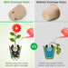 Peat Pots, 120 Pcs 3.15 Inch Seed Starting Pots with Drainage Holes round Nursery Pot, Biodegradable Plants Pots with Bonus 20 Plant Labels