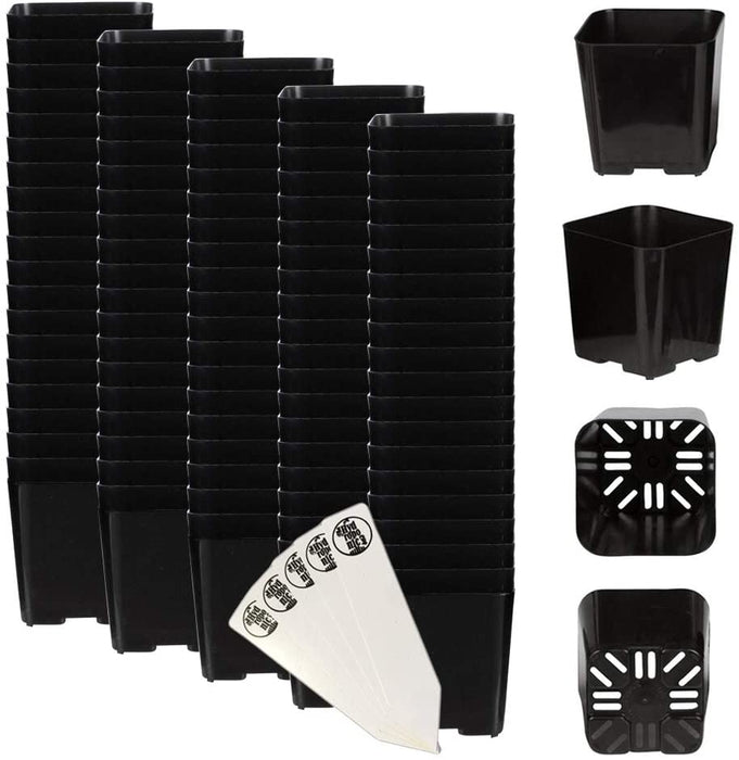 Black Square Flower Nursery Pots for Starting Seedlings, Succulents, or Cacti - 2" X 2", Pack of 100 + Thcity Stakes