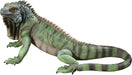 QL56991 Iggy the Iguana Garden Statue, 22 Inch, Large, Full Color
