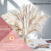 Dried Pampas Grass Decor 60 Pcs DIY Boho Natural Dried Flower Decor Pompous Dried Plants Bouquet for Wedding Vase Home Floral Arrangements