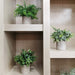 Mini Potted Plants Artificial Eucalyptus Boxwood Rosemary Greenery in Pots Faux Potted Herbs Small Houseplants 8.3"-9" Tall for Indoor Greenery Tabletop Décor Centerpiece 3 Pack