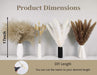 Pampas Grass Boho Home Decor, 75Pcs Natural Dried Carefully Hand-Picked Fluffy Pompas Grass 17", White & Brown Pampas Grass, Reed, Bunny Tails for Flower Arrangements Boho Wedding Home Décor