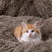 Plush Fluffy Duvet Cover Oeko-Tex Certified Luxury Ultra Soft Shaggy Crystal Velvet Bedding Set 3 Pieces(1 Duvet Cover + 2 Pillow Shams) Zipper Closure(Queen, Khaki)