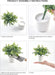 Fake Plants in Ceramic Pot, 3 Pack Potted Artificial Eucalyptus Plants for Home Decor Indoor Faux Green Rosemary for Desk Shelf Coffee Centerpiece Bathroom Office Decor