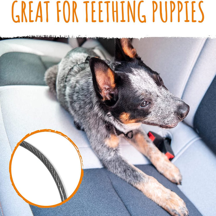 Dog Seat Belt Chew Proof Metal Pet Safety Belt Steel Braided Vehicle Restraint No Chew Tether Seatbelt with Rock Climbers Carabiner
