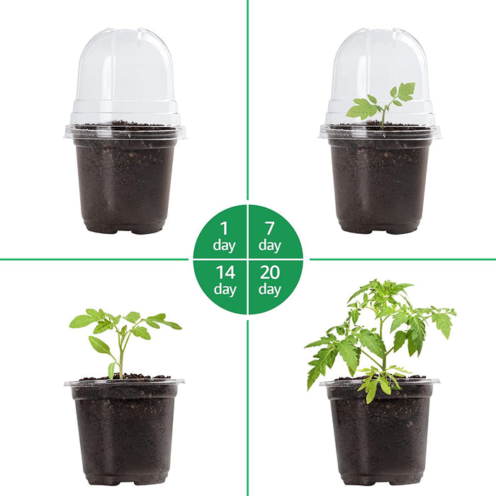 Clear Nursery Pots with Humidity Dome 30 Sets 4" Transparent Plastic Plant Pot Seedling Planter Seed Starter Pots Flower Pot with 10Pcs Plant Labels for Indoor Outdoor Garden