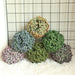 4.72 Inch Artificial Greenery Topiary Balls Wedding Party Decor Home Garden Decor Dark Purple