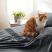 Bedsure Full Size Sheet Sets - Soft 1800 Sheets for Full Size Bed, 4 Pieces Hotel Luxury Grey Sheets Full, Easy Care Polyester Microfiber Cooling Bed Sheet Set
