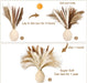 Natural Dried Pampas Grass 120PCS for Boho Home Decor Mixed Dried Flowers Bouquet for Wedding Party Decor Pompas Floral Arrangements, Farmhouse Rustic Decor