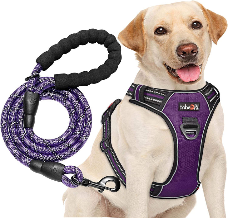 No Pull Dog Harness Adjustable Reflective Oxford Easy Control Medium Large Dog Harness with a Free Heavy Duty 5Ft Dog Leash (S (Neck: 13"-18", Chest: 17.5"-22"), Blue Harness+Leash)