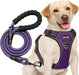 No Pull Dog Harness Adjustable Reflective Oxford Easy Control Medium Large Dog Harness with a Free Heavy Duty 5Ft Dog Leash (S (Neck: 13"-18", Chest: 17.5"-22"), Blue Harness+Leash)