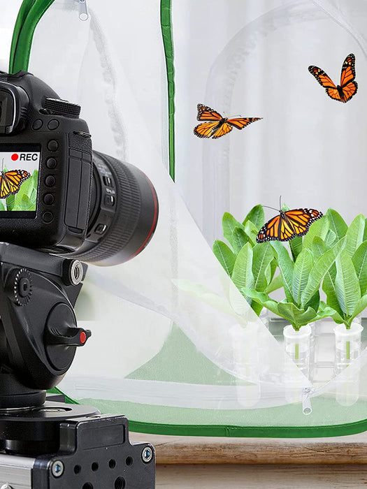 Floral Tubes Kit with Rack for Milkweed, Monarch Caterpillars Milkweed Tubes, Milkweed Cutting Feeding with Stable Acrylic Holder, 50ML Floral Vials for Butterfly Caterpillars Supplies