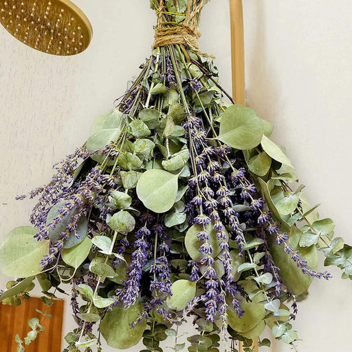 115 PCS Mix Dried Eucalyptus Stems & Lavender Flowers for Shower - 17'' Real Large Silver Dollar Leaves Branches, Fresh Hanging Plants for Vase, Natural Fragrance, Home Aromatic, Wedding Decor