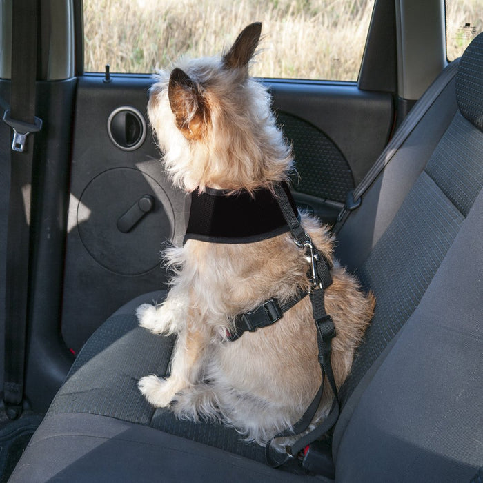 Car Belt | Car Seat Dog Safety Belt, Black