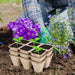 72 Cells Peat Pots Seed Starter Trays, 12 Packs Biodegradable Seedling Pots Germination Trays, Organic Plant Starter Kit with 15 Pcs Plant Labels