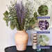 115 PCS Mix Dried Eucalyptus Stems & Lavender Flowers for Shower - 17'' Real Large Silver Dollar Leaves Branches, Fresh Hanging Plants for Vase, Natural Fragrance, Home Aromatic, Wedding Decor