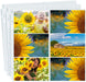 Photo Album Refill Pages 12X12 - (4X6 Landscape, 25 Pack) Holds 300 4X6" Photos, 4X6 Photo Sleeves for 3 Ring Binder, D-Ring Scrapbook Album 12X12, Archival Quality Page Protectors 12X12