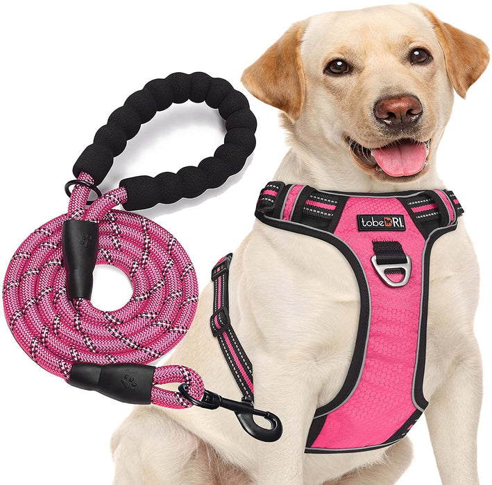 No Pull Dog Harness Adjustable Reflective Oxford Easy Control Medium Large Dog Harness with a Free Heavy Duty 5Ft Dog Leash (S (Neck: 13"-18", Chest: 17.5"-22"), Blue Harness+Leash)