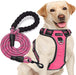 No Pull Dog Harness Adjustable Reflective Oxford Easy Control Medium Large Dog Harness with a Free Heavy Duty 5Ft Dog Leash (S (Neck: 13"-18", Chest: 17.5"-22"), Blue Harness+Leash)