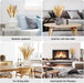 Dried Pampas Grass Boho Home Decor, 92Pcs Natural Flowers Bouquet Inc Lavender Bunny Tail Pompas Reed Neutral Bohemian Fall Decoration for Table Wedding Bedroom Western Vase Fireplace Christmas Décor