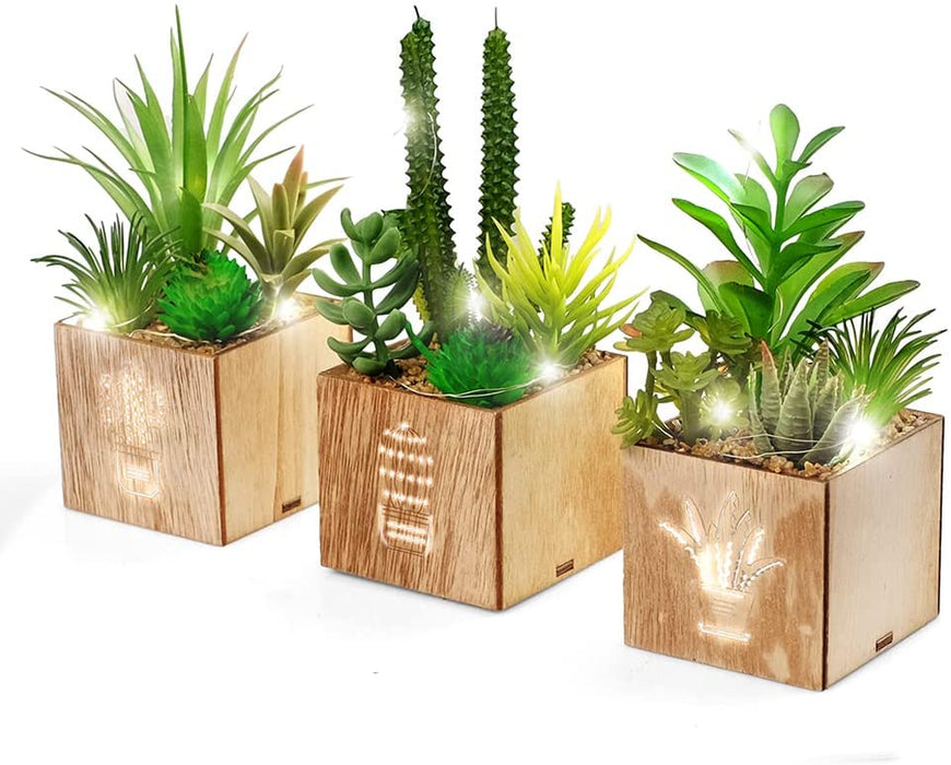 Set of 3 Artificial Succulents with Led Lights in Wooden Box, Artificial Plants Plastic Fake Topiary for Home/Office Decorations, Table Centerpiece