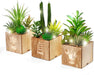 Set of 3 Artificial Succulents with Led Lights in Wooden Box, Artificial Plants Plastic Fake Topiary for Home/Office Decorations, Table Centerpiece