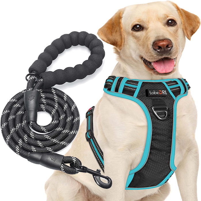 No Pull Dog Harness Adjustable Reflective Oxford Easy Control Medium Large Dog Harness with a Free Heavy Duty 5Ft Dog Leash (S (Neck: 13"-18", Chest: 17.5"-22"), Blue Harness+Leash)