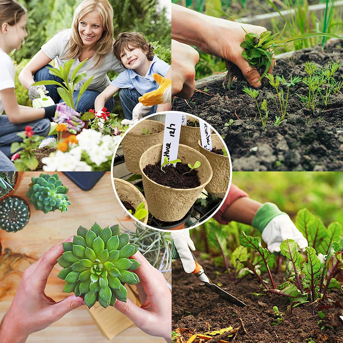 50 Pcs Peat Pots, Biodegradable Eco-Friendly Plant Seedling Starters Kit, Seed Germination Trays with 10 Plant Markers for Vegetable Tomato Saplings & Herb Seed Germination
