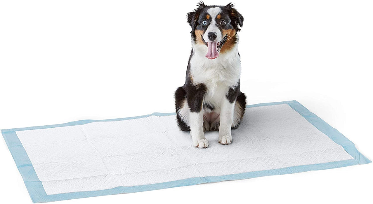 Dog and Puppy Pee Pads with Leak-Proof Quick-Dry Design for Potty Training, Standard Absorbency, Regular Size, 22 X 22 Inches - Pack of 100