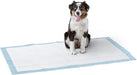 Dog and Puppy Pee Pads with Leak-Proof Quick-Dry Design for Potty Training, Standard Absorbency, Regular Size, 22 X 22 Inches - Pack of 100