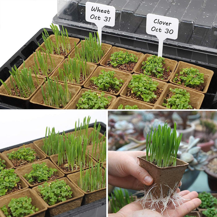 Seed Starter Kit with 100 Peat Pots for Seedlings Seed Starter Tray Plastic Growing Trays 20 Plant Labels Outdoor or Indoor Herb Garden Nursery
