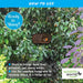 Simon King Secret Nester Bird Habitat Roosting Pocket