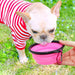 Collapsible Dog Bowl, 2 Pack Collapsible Dog Water Bowls for Cats Dogs, Portable Pet Feeding Watering Dish for Walking Parking Traveling with 2 Carabiners (Small, Orange+Pink)