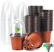 BEWAVE Plant Nursery Pots with Humidity Dome, 100 Sets Indoor Gardening Pot Planting Containers Starter Seed Starting Containers Planters with 100 Pcs Plant Labels, 3.5"