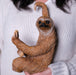 Sloth Fence Hanger - Outdoor Hanging Sloth Statue- Detailed Garden Decor for Wall, Patio, Porch, Fence, Window