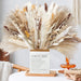 120 Pcs Dried Pampas Grass Dried Flowers Bouquet Natural Pampas Grass Decor White & Brown Pompous Grass Bunny Tails Reed for Farmhouse Rustic Party Wedding Boho Home Decorations, 17.5''