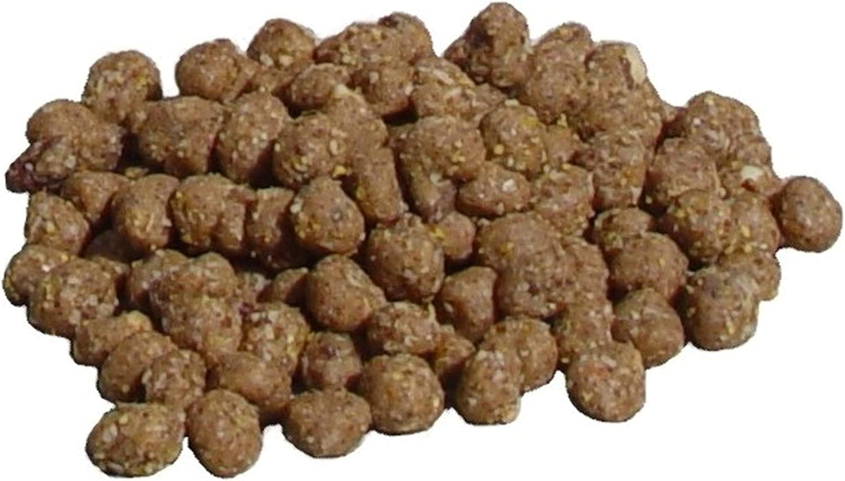 C&S Wild Bird Peanut Suet Nuggets Mega Box, 8 Pounds