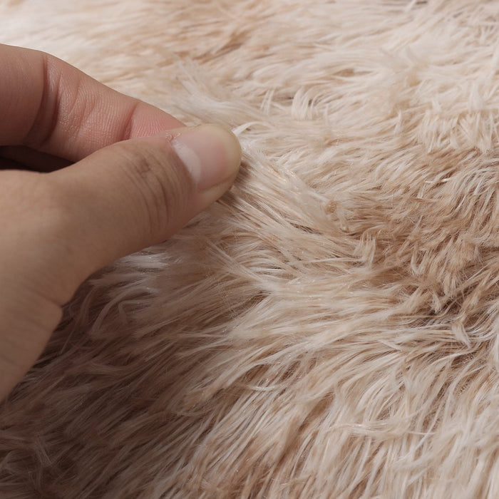 5Ft X 8Ft Shaggy Area Rugs for Bedroom Living Room, Fluffy Rug Plush Decorative Rug for Indoor Home Floor Carpet