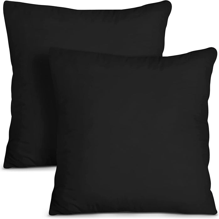 Throw Pillows Insert (Pack of 2, White) - 18 X 18 Inches Bed and Couch Pillows - Indoor Decorative Pillows